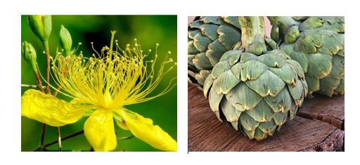 最有效的修复膏,市面好用的修复膏