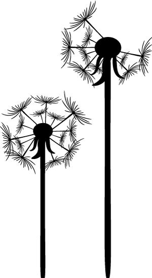 懂爱的人|李宗生:扎根农资,做服务“三农”的践行者