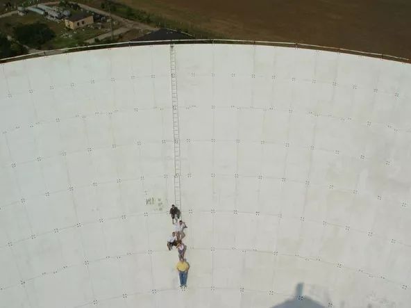 人类给地球的一封信作文,人类写给蝙蝠的一封信新闻