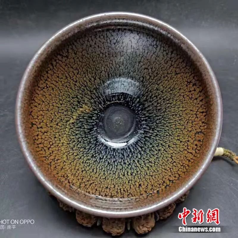 福建有约,福建与世界有约视频