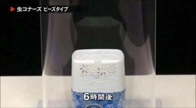 植物驱蚊精华,温和驱蚊天然植物配方