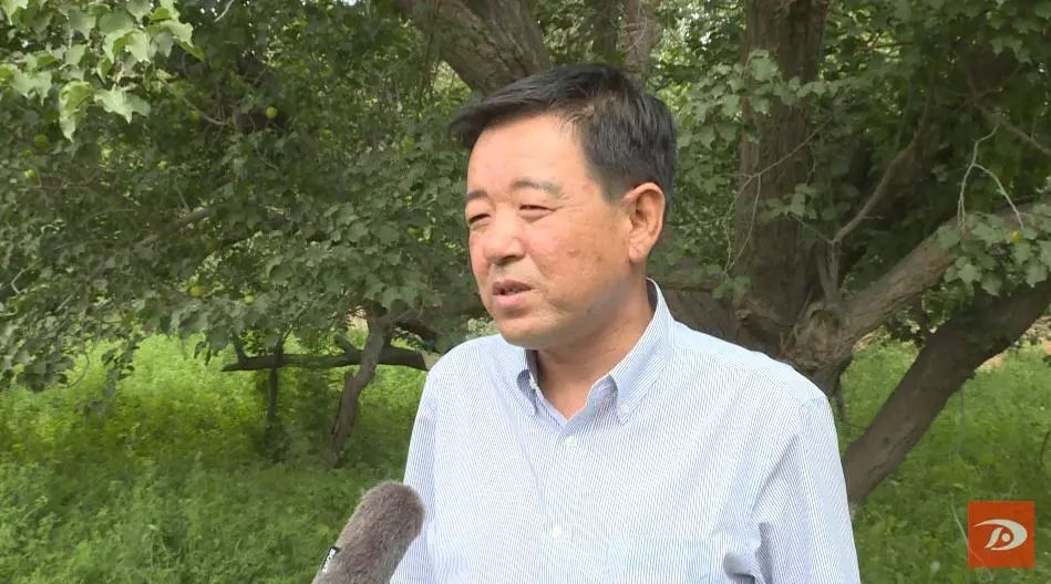 金蛋蛋,金蛋蛋盲袋