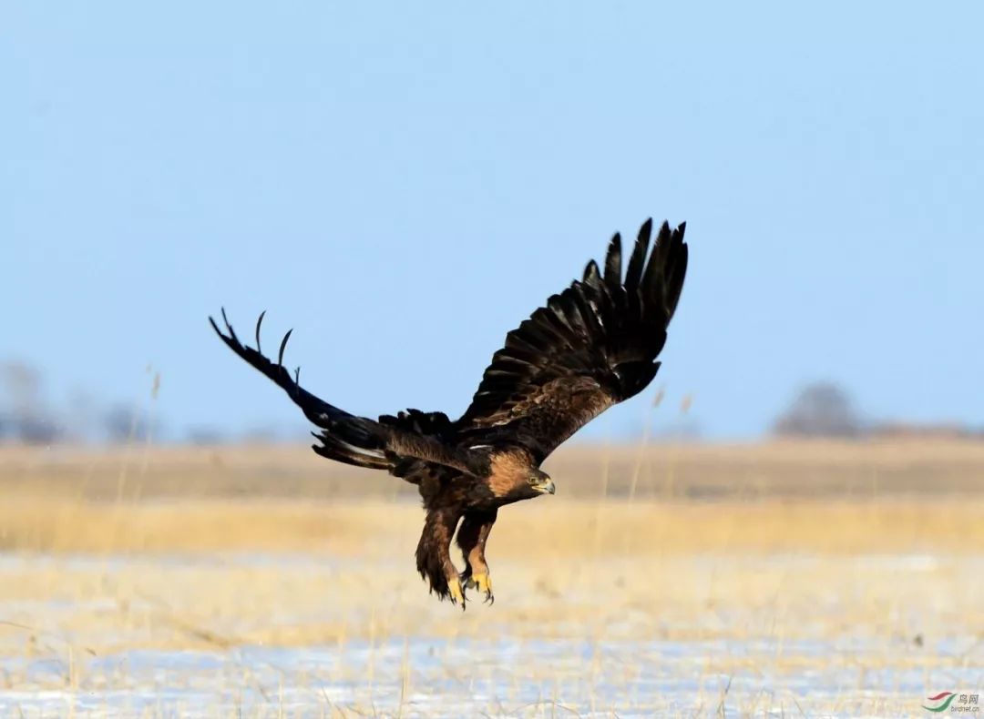 张掖的由来,什么是张掖