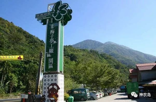 一颗小青梅,一颗小青梅后续