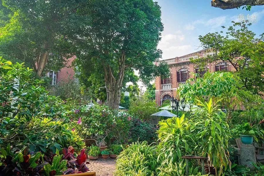 鼓浪屿最值得吃的美食,鼓浪屿最好吃的美食最新