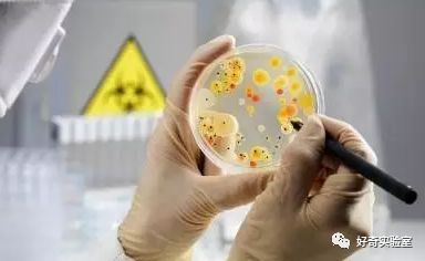 吹生日蛋糕蜡烛把假牙吹出来了,吹生日蛋糕蜡烛