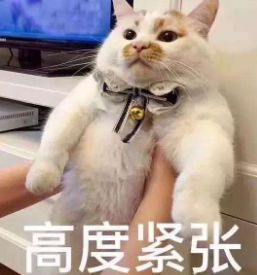 小学生期末考试成绩不理想,一年级期末考试考的不理想