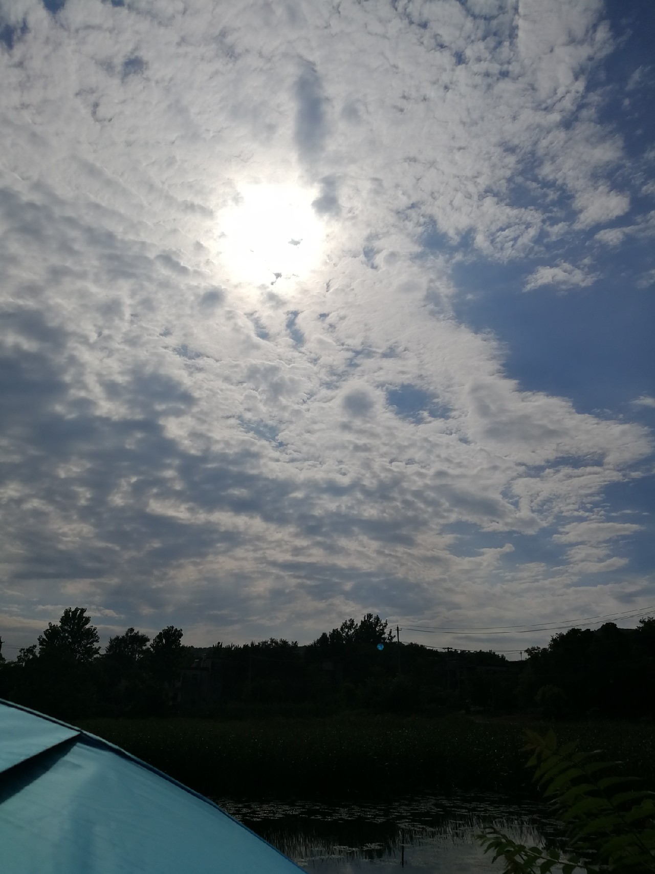 头顶烈阳开拓钓位逐泡寻鲫放流可怜鱼获