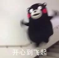 夏邑马头足球场,高大上球场