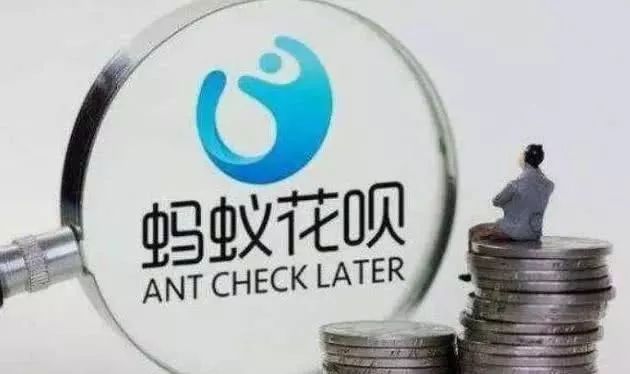 花呗一号用了这月十号就要还吗,花呗今天用了明天就可以还吗