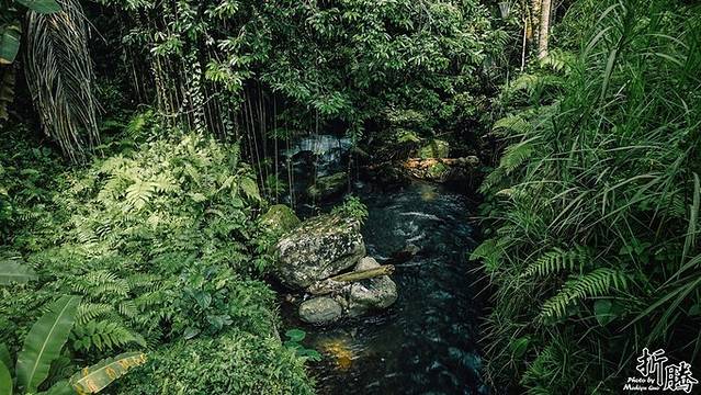 南纬八度.又见BALI