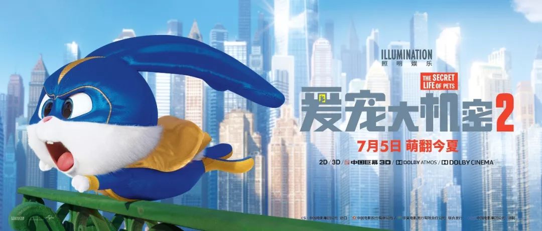 穿西装的宠物狗走路,穿moncler的男生