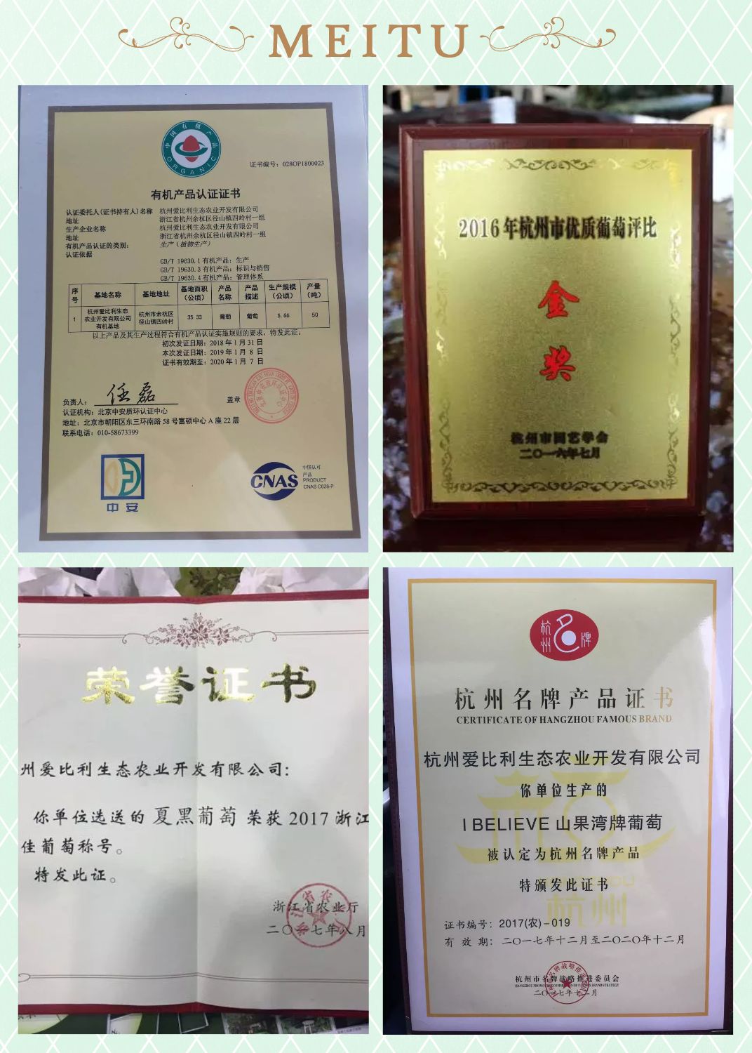 连阿里巴巴都点名！拿奖拿到手软的“葡萄王”来了~入园采摘，尽享千元农家菜