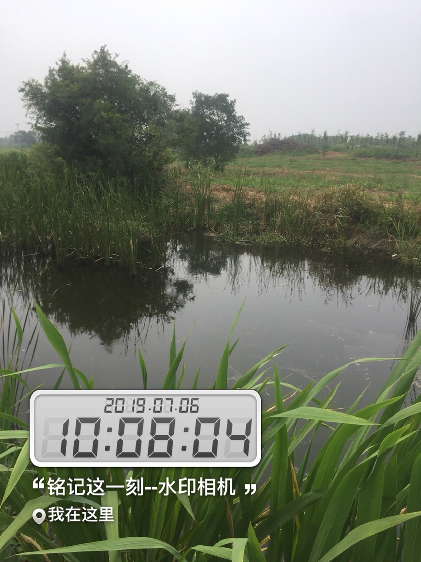 雷强2020年视频,2019雷强视频