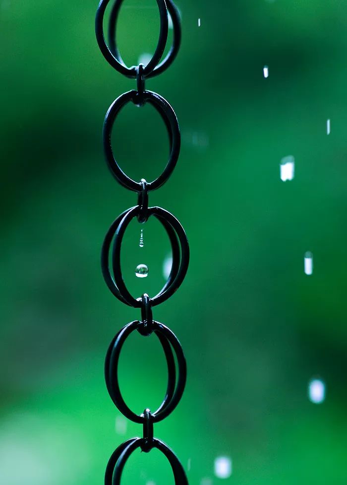 天涯咫尺，如见故人|2019小林摄影总结