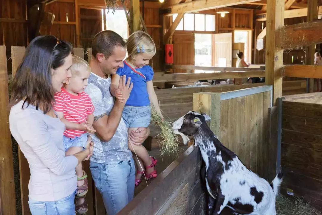 这个在欧洲火了50年的网红度假村要来常州门口啦