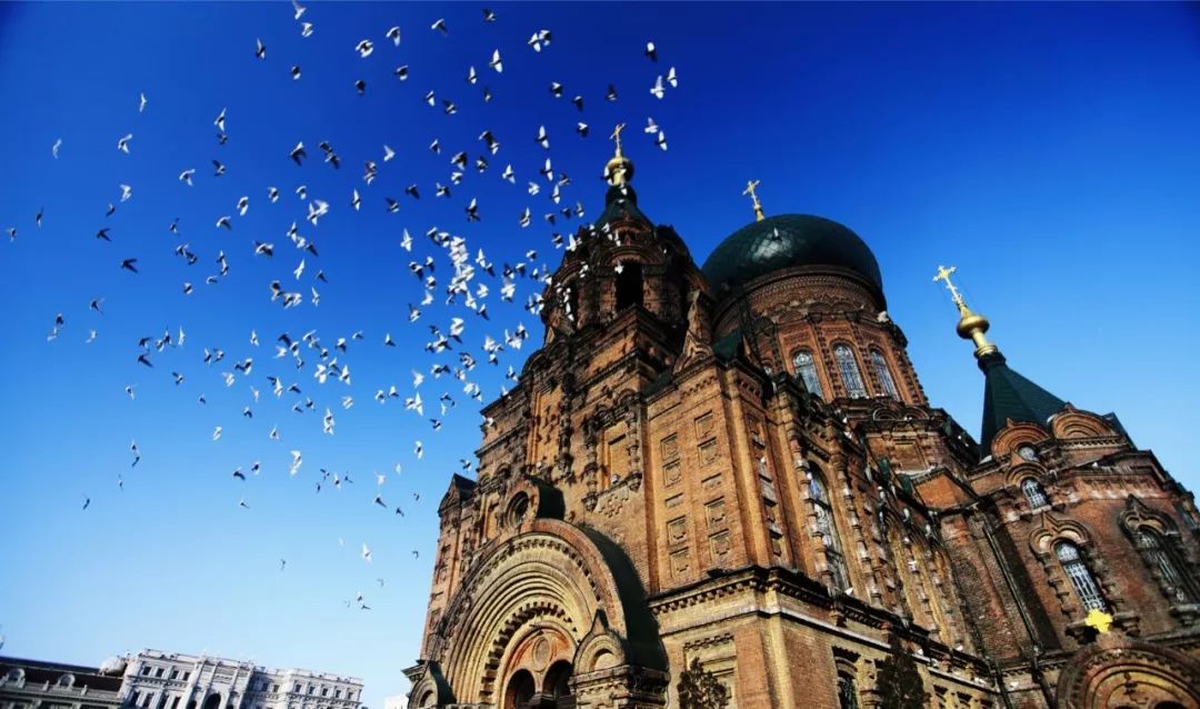 顺德龙江户外活动,龙江县夏季旅游