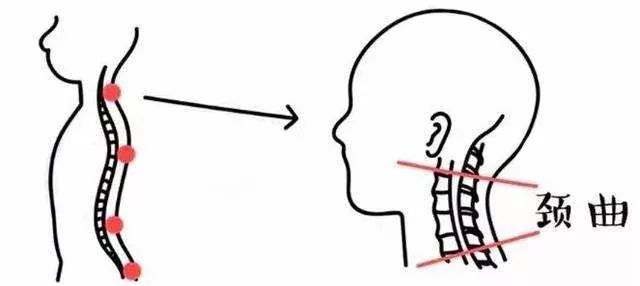 什么品牌枕头有助于睡眠,用什么样的枕头比较健康