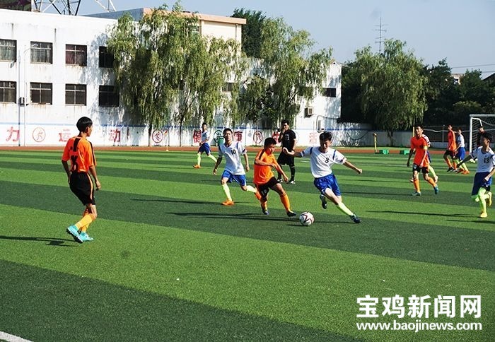 2019宝鸡足球秋季联赛,2024年宝鸡市青少年足球比赛