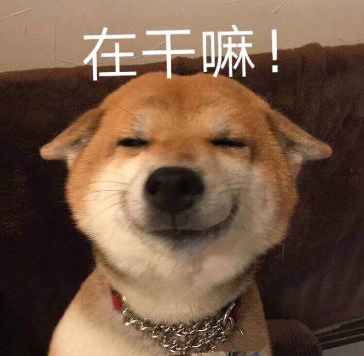 欧阳娜娜张子枫生日礼物,张子枫欧阳娜娜杂志同款衣服