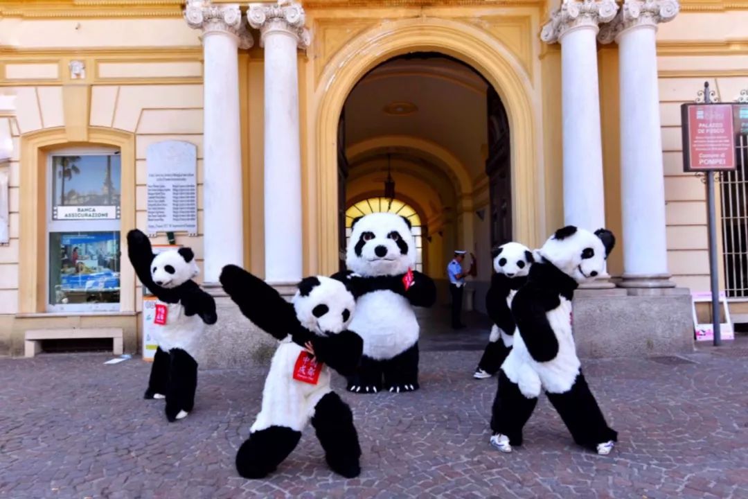 熊猫宝宝萌化外国人少女心,熊猫宝宝萌翻老外
