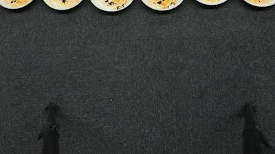 变态德国造！39元能洗净4500只盘子？！欧洲人都”喝它长大...