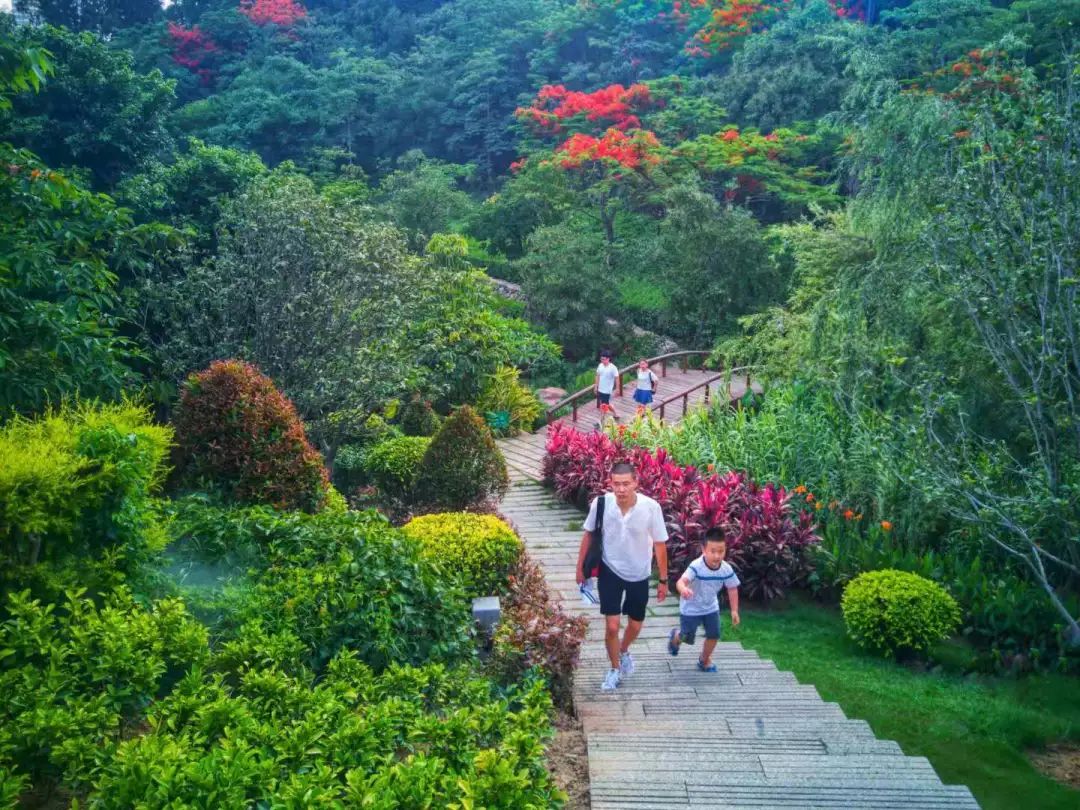 厦门攻略来厦门必做的12件小事,带你们看看厦门美景攻略