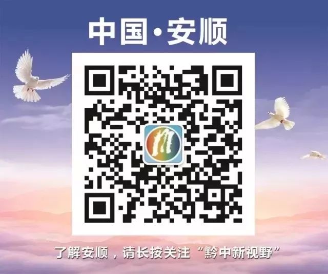 安顺市大健康医药产业发展,安顺大健康医药发展