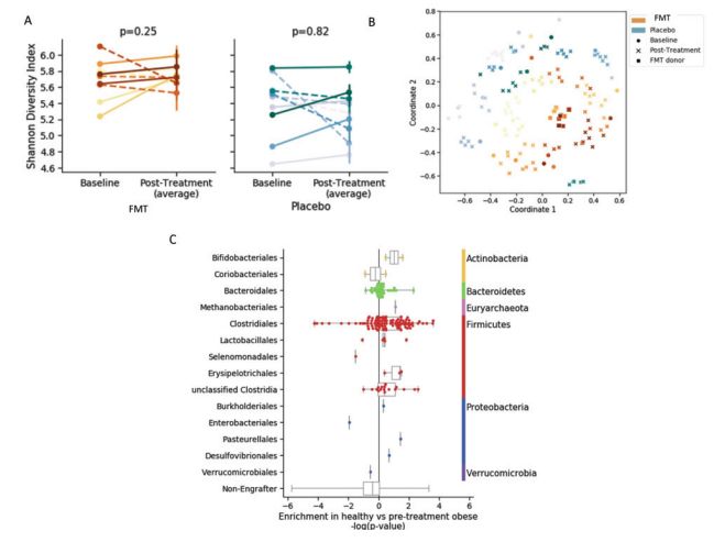 改变胖子的肠道菌群的益生菌,把胖人的肠道菌群移植给瘦人