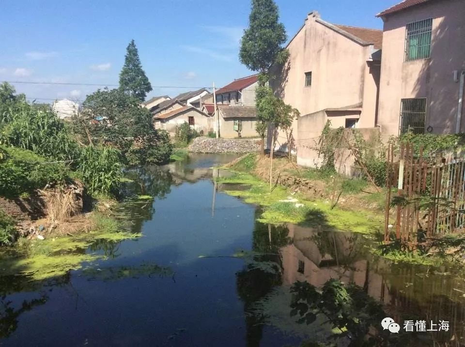 上海浦东十八镇,上海老浦东各镇分布图