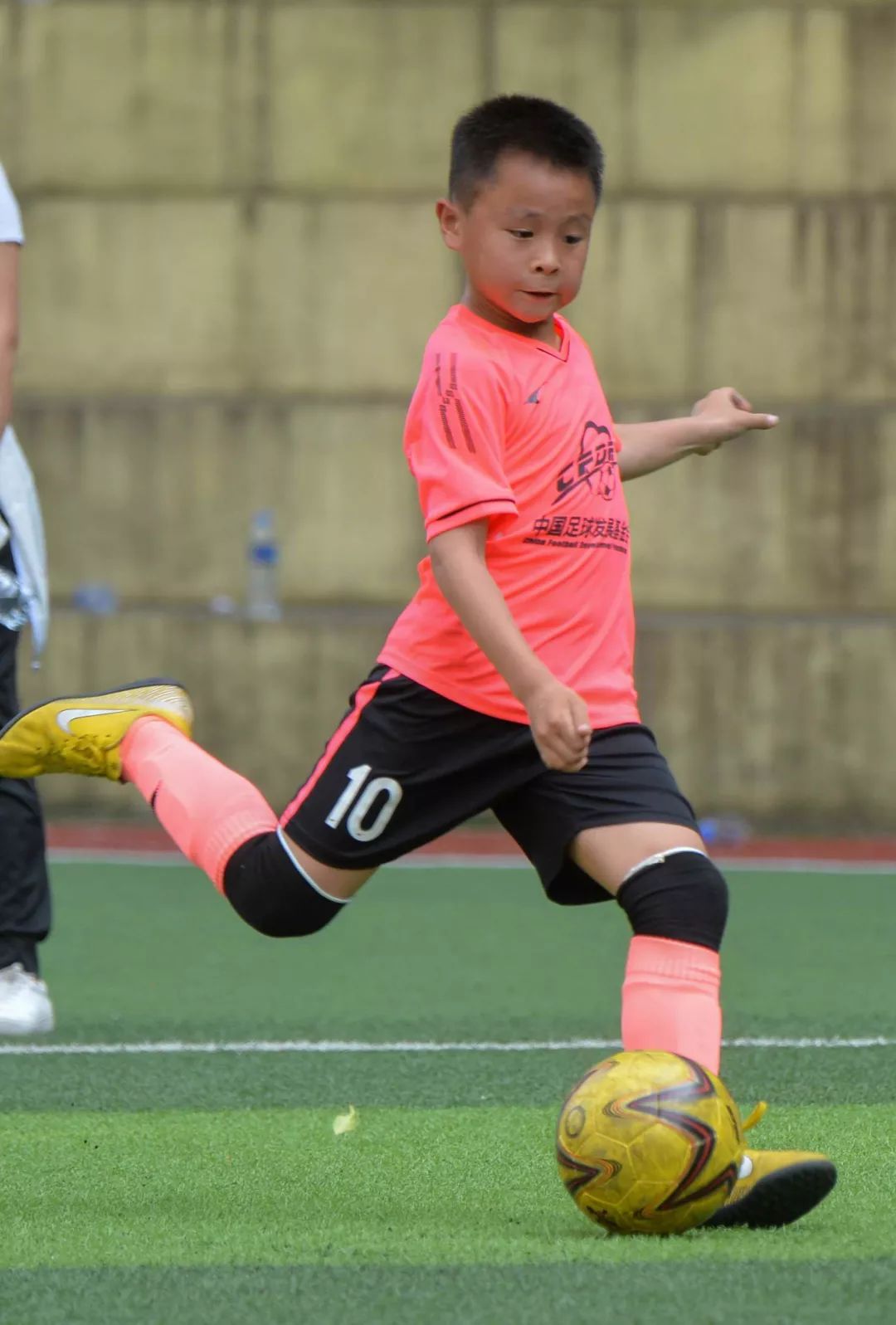 牛蛙冠军,牛娃考了100分乐翻天