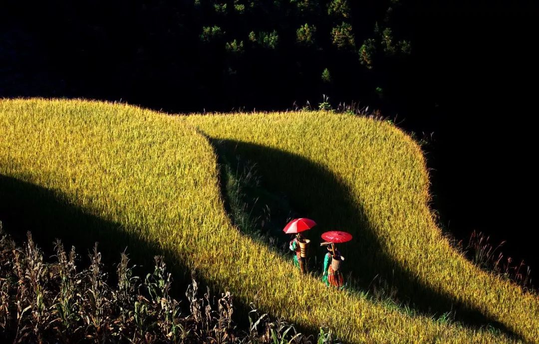 湖南邵阳有哪些好吃的,邵阳美味之城