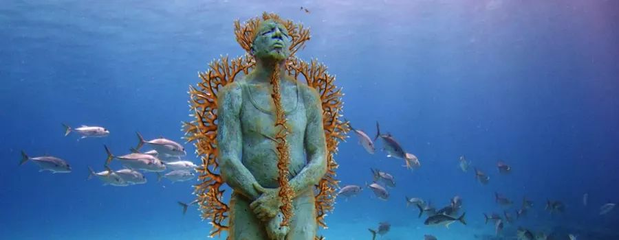 雅致梦溪山庄餐厅抖音团购,雅致梦溪山庄下午茶