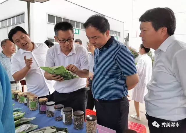 浠水县委书记黄强胤,浠水书记黄强