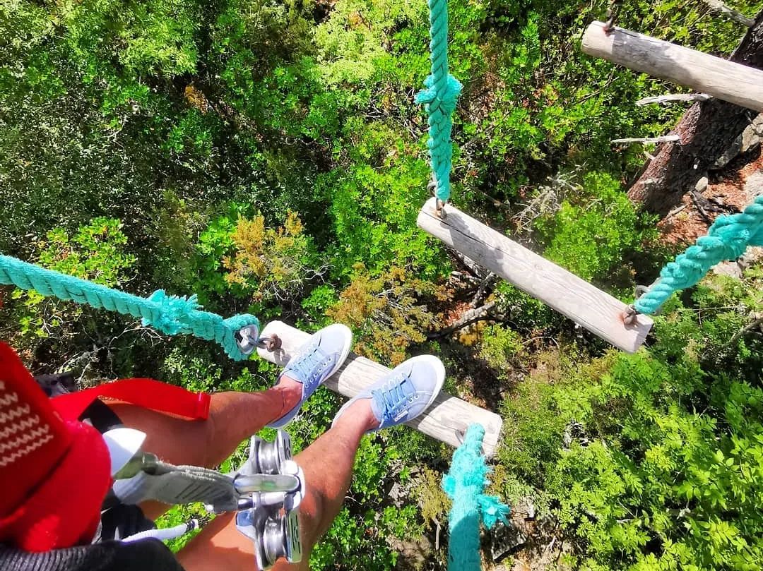 鏍戦《鎺㈤櫓鍏洯娓哥帺,鏍戦《鎺㈤櫓鍏洯娓哥帺鏀荤暐