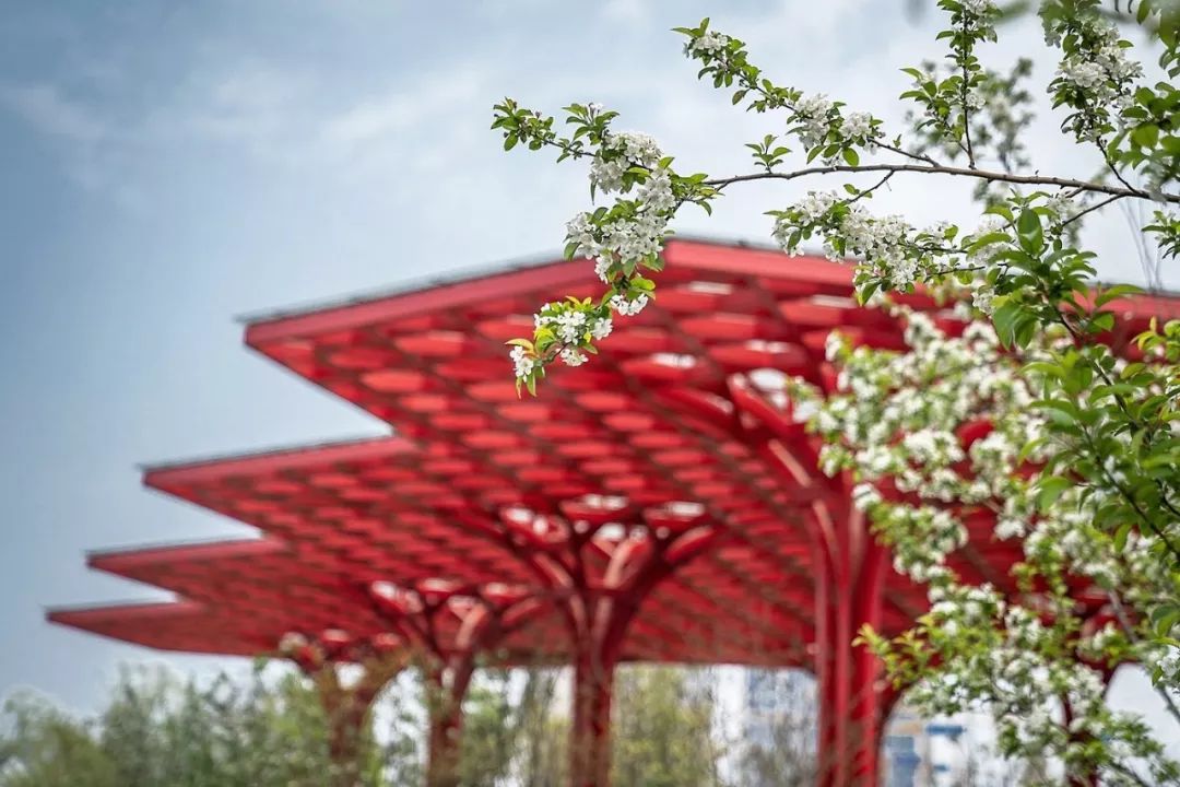 天呐!武汉这个区开挂了!反正我是羡慕了!