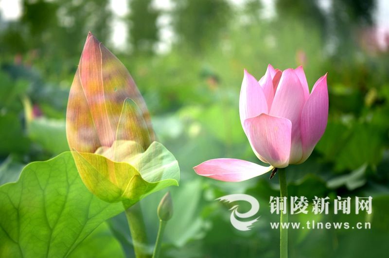 在这里读懂福州,在这里读懂