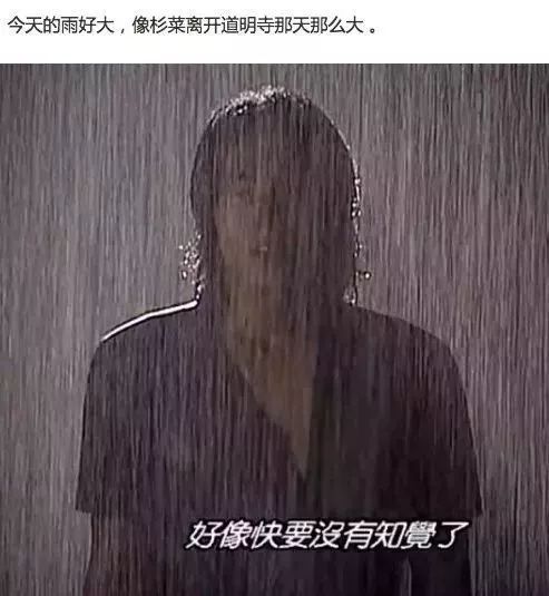 能抗8级大风和车压的暴风伞测评,硬汉级暴雨伞
