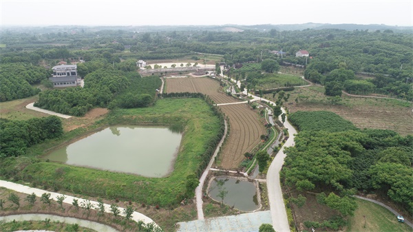 走乡村看新貌视频,走进乡村看振兴印江板溪