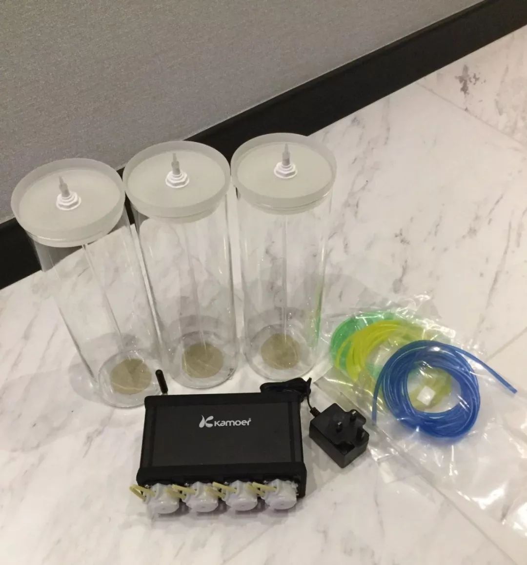 新开缸每天都有鱼死,新开缸鱼一直死