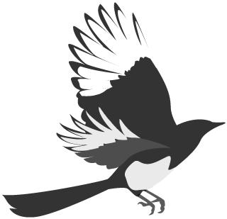 盐湖城总决赛2019,区运会足球比赛决赛