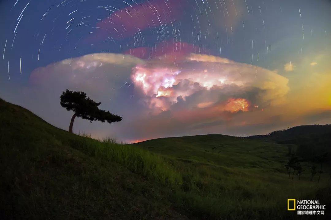南京古寺看萤火,南京萤火虫在灵谷寺还是明孝陵