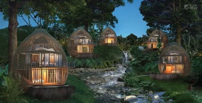 全球最受欢迎树屋酒店｜夜晚坠入大自然的梦乡，清晨在森林的枝桠间醒来