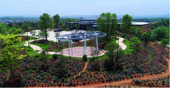 肇庆鼎湖重阳登高,中秋肇庆去哪玩