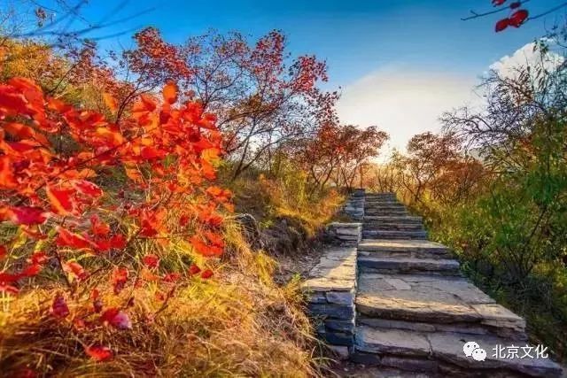 我叫北京，这是我最新的简历，请多关照