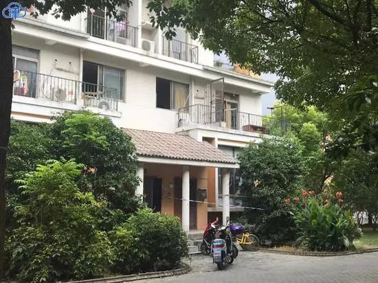 20岁少女被杀害案抛尸天台,女子遭杀害被肢解证据被清理