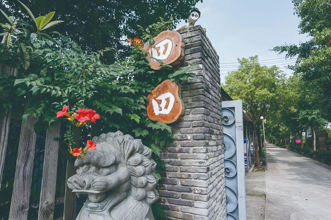 十大葡萄采摘好去处,上海松江摘葡萄最佳地点