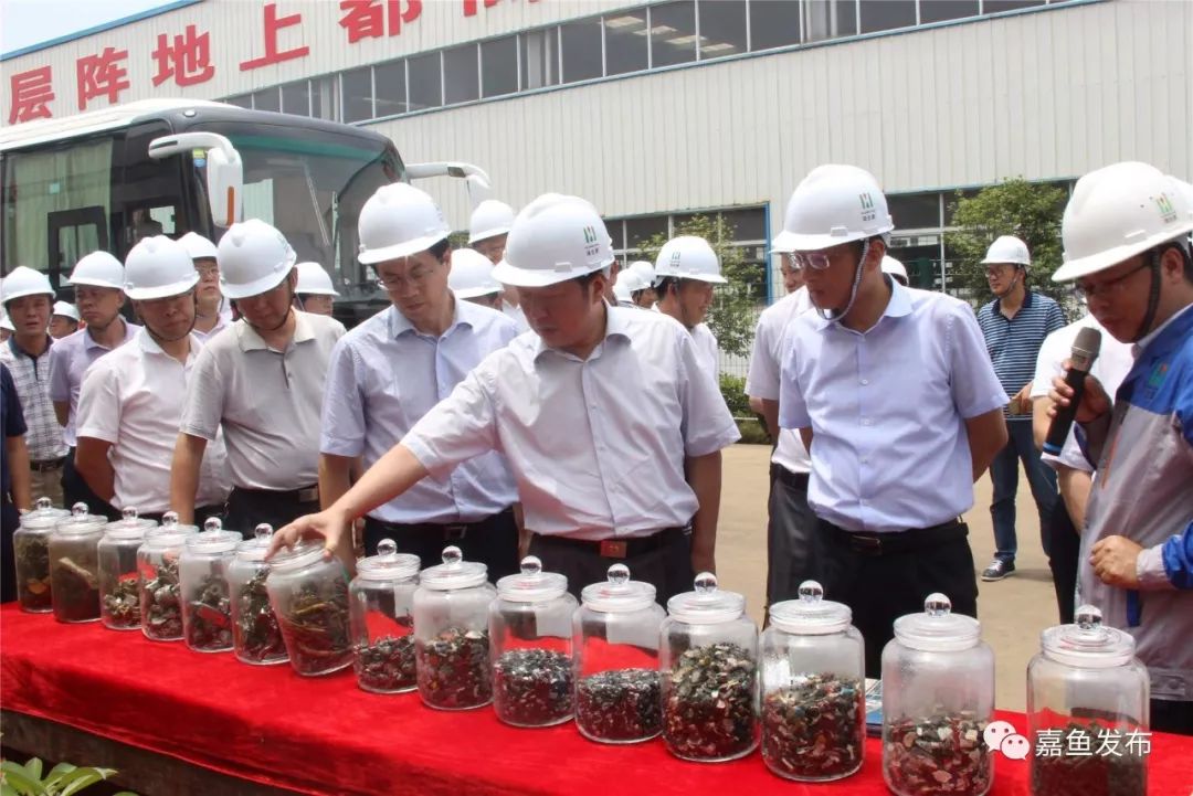 王远鹤咸宁,嘉鱼县委书记王远鹤