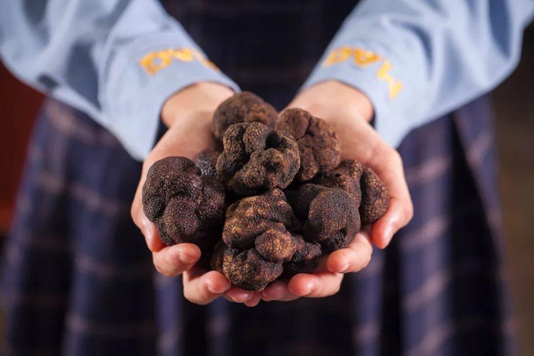 夏日花式玩法！极致视觉体验+五星级海鲜大餐，99元潮玩一整天