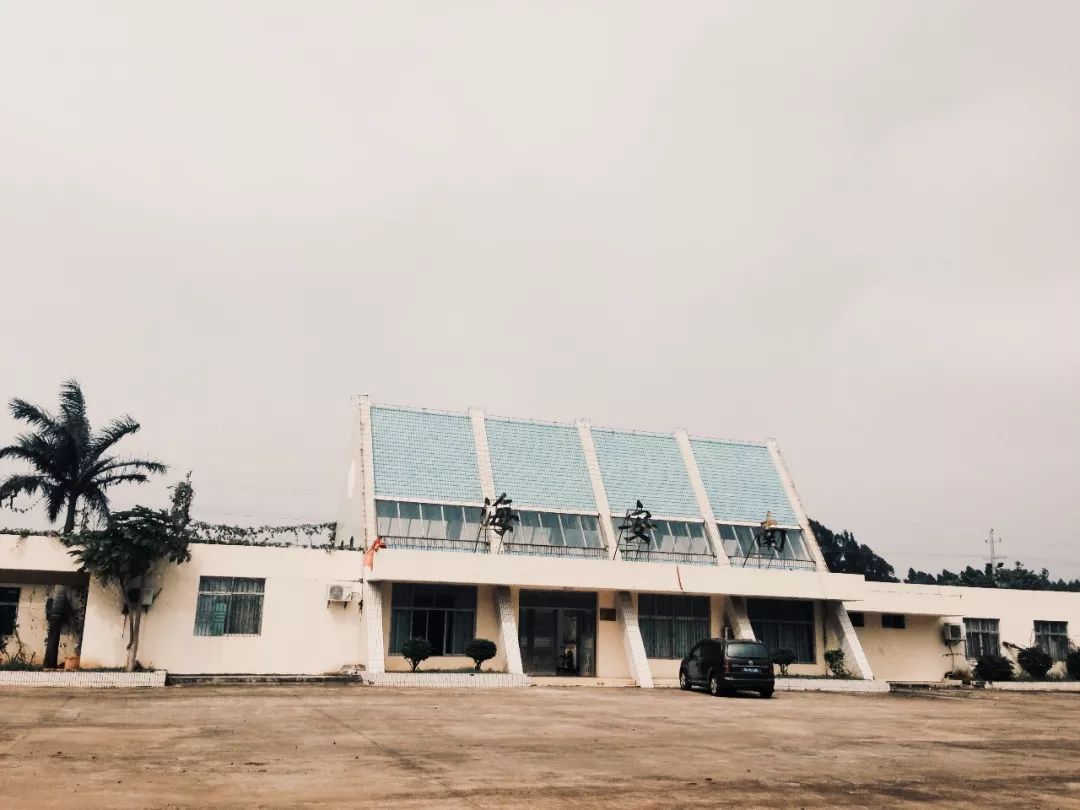 中国哪里的火车最美,中国哪里还有绿皮火车